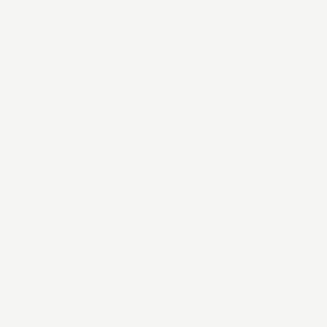 Toto THU041S G-Max Flush Valve Flapper